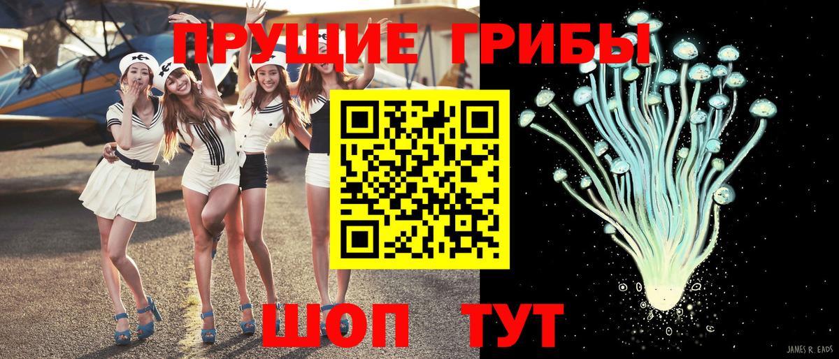 Псилоцибиновые грибы мухоморы Каменка