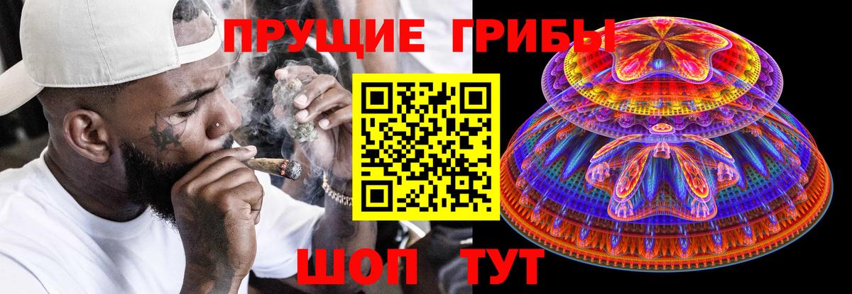Каменка  Галлюциногенные грибы Cubensis  Вход с VPN  Галлюциногенные грибы GOLDEN TEACHER 